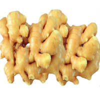 Gingembre frais en vrac, excellente qualité, conforme aux normes européennes, récolte de l'année dernière, origine Thaïlande, pour l'alimentation et l'agriculture, prix par tonne sur le marché.