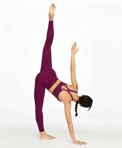 Ensemble de yoga sans couture pour femmes, leggings taille haute et soutien-gorge de sport, vêtements d'entraînement deux pièces, vêtements de fitness et de sport - Product Image 3