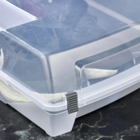 Organisateur de rangement pour chaussures Afossa, transparent, blanc, en PP, à un seul niveau, ouverture latérale magnétique, empilable, multifonctionnel, pour salle de bain, salon