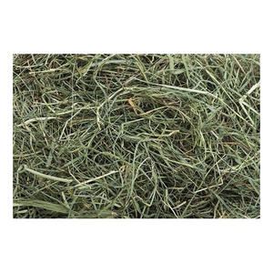 Foin de Timothy Hay EN BALLES, FOIN DE TIMOTHY ET GRANULES DE FOIN D'ALFAFA À VENDRE LUCERNE Timothy Hay POUR L'ALIMENTATION DES ANIMAUX - Product Image 6