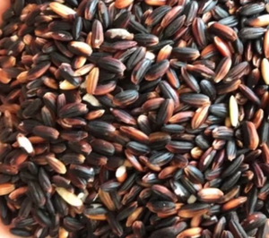 Arroz Negro, Arroz Integral, Arroz Rojo, Arroz Saludable, Arroz Glutinoso Rojo de Alta Calidad, Venta al por Mayor - Product Image 1