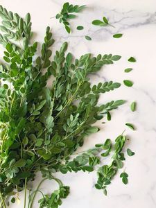 DRIED MORINGA IMPROVES HEALTH and <b>TREATS</b> DISEASES - Product Image 5