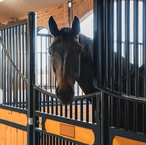 Seesopy 3.5*3.5m 말 안정 녹방지 금속 프레임 말 장비와 견고하고 미적 말 마차 - Product Image 3