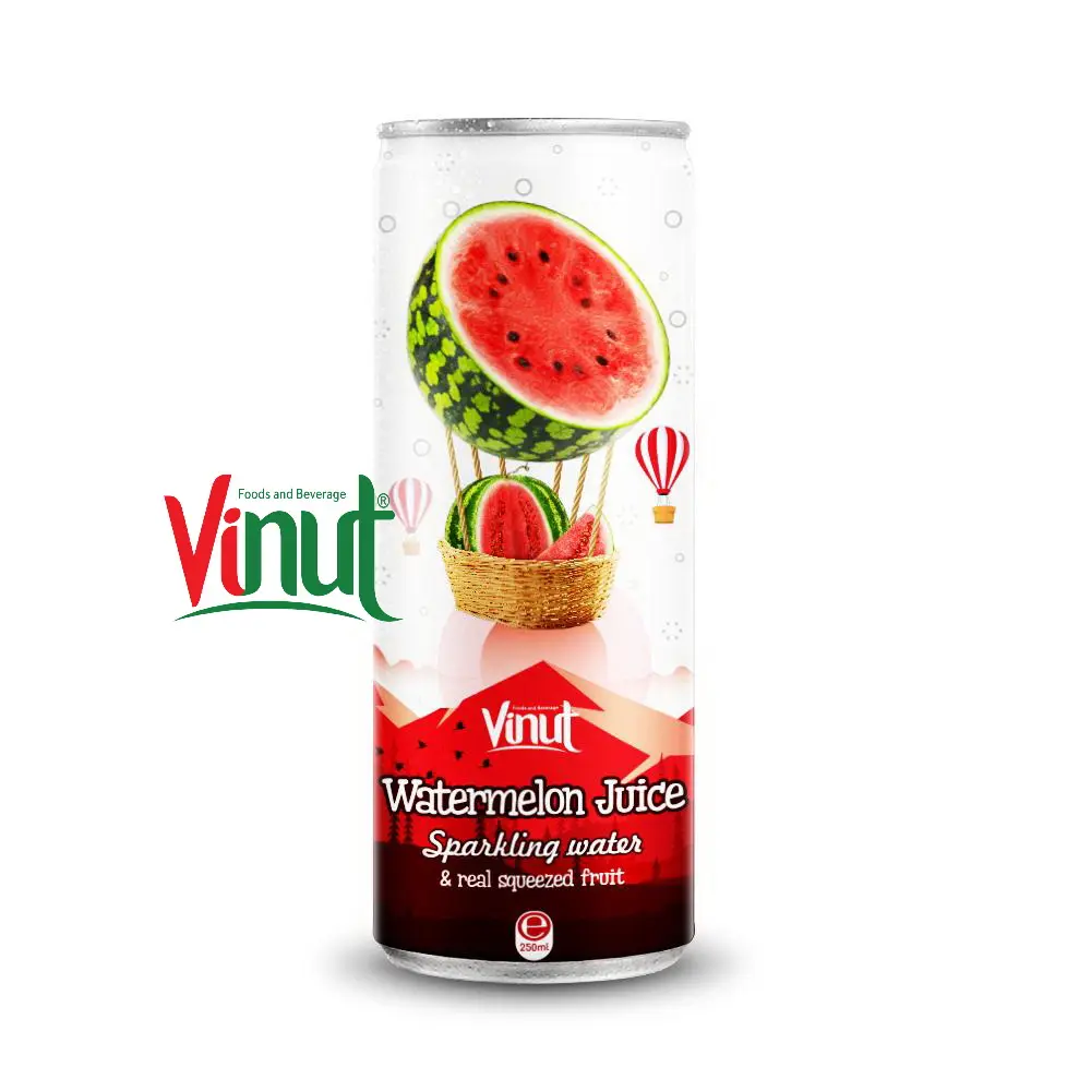 250ml d'eau pétillante VINUT avec jus de pastèque à partir de vrais fruits pressés Service OEM ODM