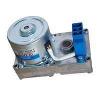 Chauffe-eau automatique à biomasse, 24 kw, chauffage Central de l'eau, chaudière à granulés, réservoir, brûleur à granulés