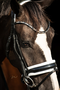 Brida snaffle - Product Image 4