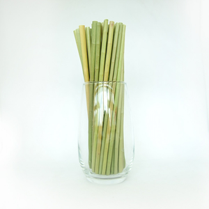 Venta al por mayor de pajitas desechables naturales ecológicas de Vietnam, producto Eco2go de alta calidad a precio competitivo - Product Image 2