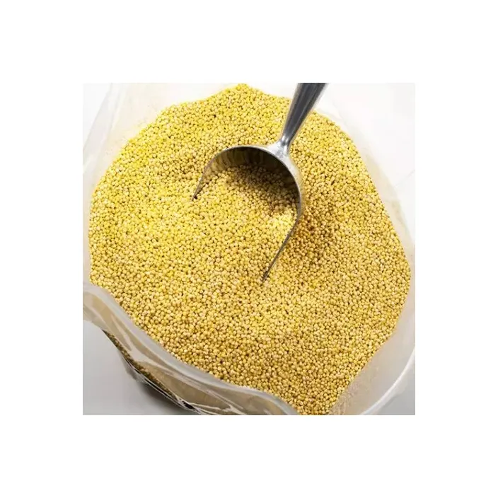 Nouvelle récolte jaune blanc/rouge millet disponible