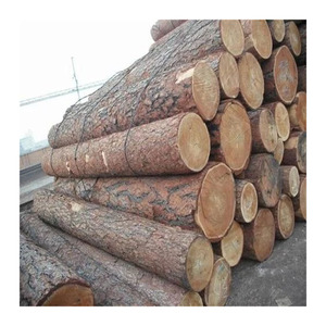 Strong suar wood <b>logs</b> supplied in volume for woodworking trade - Product Image 5