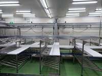 Ligne de transformation personnalisable pour abattoirs commerciaux : moutons, bovins, porcs, porcins, vaches, poissons, fruits de mer