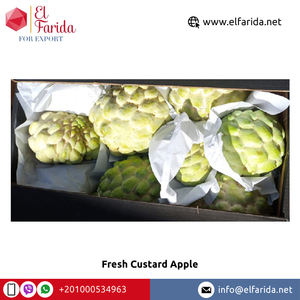 แอปเปิ้ลคัสตาร์ดธรรมชาติแสนอร่อยที่มาจากอียิปต์ - Product Image 3