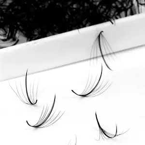 Private Label Wispy Cluster Lash with Hot Sale Pointed Design - Spikes for Eyelashes from Vietnamese Suppline