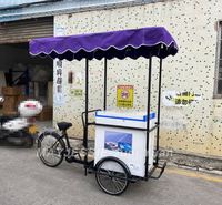 Vélo de vente ambulante de nourriture, chariot à glace, vélo avec congélateur solaire à vendre