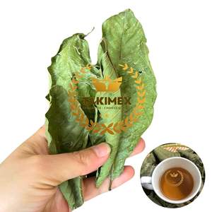 Cantidad a granel de Vietnam, hojas de Guanábana secas a máquina, 500g por bolsa, venta al por mayor para té y productos de salud - Product Image 1