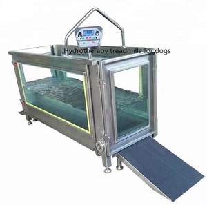 YS-C480K Veterinary Canine Hydrotherapy <strong>Dog</strong> Underwater Water Treadmill with Walking <strong>Ramps</strong> - Product Image 2