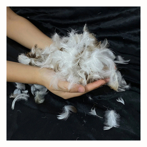 Áo khoác lông vũ vịt cao cấp, ấm áp vượt trội, thoải mái, nhẹ nhàng, bền bỉ, nhuộm màu, được xử lý giặt, có trang trí. - Product Image 4