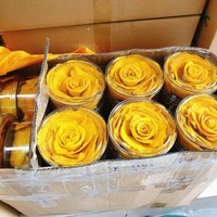 Groothandel Gedroogde Mango Fruit Gedehydrateerde Mango Gevriesdroogd Fruit Gevriesdroogd Mango Fd Akina
