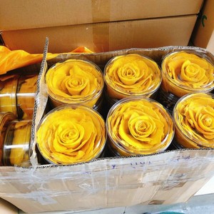 มะม่วงอบแห้งผลไม้แช่แข็งแห้งมะม่วงอบแห้ง - Product Image 2