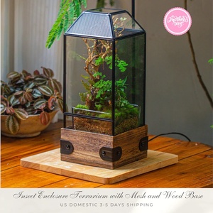 Terrario de Vidrio Hecho a Mano en EE. UU. con Base de Madera y Rejilla de Ventilación para Insectos, Arañas, <span class=keywords><strong>Mantis</strong></span>, Decoración del Hogar - Product Image 2