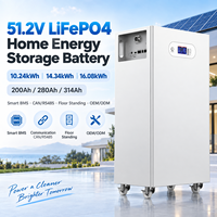 Batterie de stockage d'énergie domestique Avepower 51,2 V LiFePO4 10-16 kWh 200-314 Ah avec BMS intelligent, solaire, ESS, OEM, ODM, vente en gros