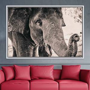Art mural en verre trempé motif éléphant : Panneau en toile imprimée, TOILE ENCADRÉE BLANCHE - Product Image 1