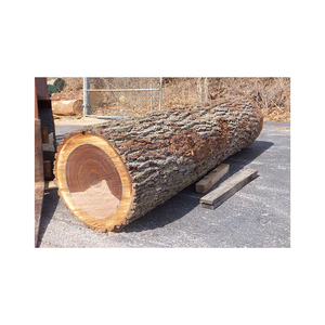 Grumes d'érable prêtes pour l'expédition en vrac aux détaillants et fournisseurs mondiaux de bois - Product Image 6