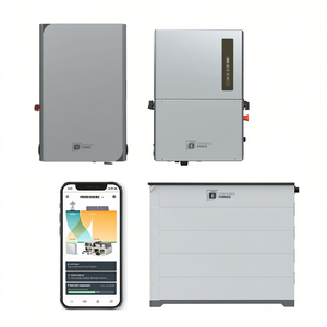 Sistema de Baterías de Plomo-Ácido de 19.6kWh con Inversor de 11.4kW y Panel de Energía Inteligente ESS Fortress Power Avalon HV Pro - Product Image 3