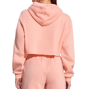 Service OEM, meilleure qualité, sweat-shirt court pour femme doublé pour l'hiver, prix raisonnable, fabricant de produits haut de gamme, streetwear - Product Image 3