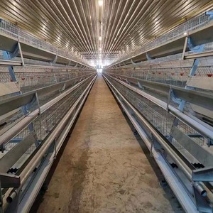 Battery <b>cages</b> for poultry <b>chicken</b> layer poultry house for 10000 <b>chickens</b> animal & poultry husbandry equipment - Product Image 3