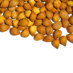 <b>Dried</b> <b>Apricot</b> Kernels | Clean Packing for Export and Food Industry - Product Image 1