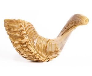 Shofar artisanal casher en corne de koudou, véritable, poli, religieux, pour Yom Kippur, célébrations juives et chrétiennes, Judaïca israélienne, naturel - Product Image 1