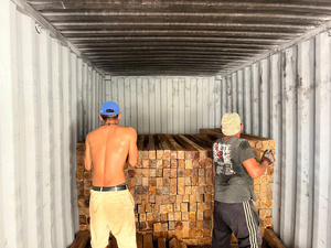 Madera de Teca y Madera Roja de Origen Laos, Suministro al por Mayor para Compradores Globales - Product Image 4