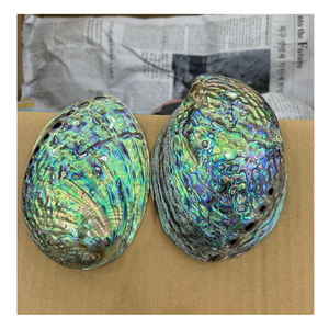 Décorez votre maison avec des coquilles d'ormeaux polies écologiques, des coquillages naturels pour une décoration tendance, événements en plein air, très populaires, chic - Product Image 1