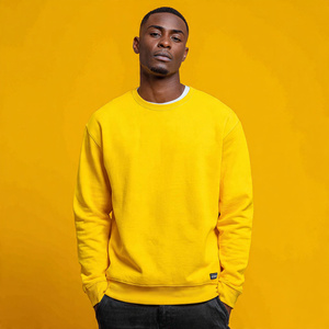 Baggy Winter Sweatshirts Men's Streetwear 500 GSM Fleece Sweat Shirts Men Solid Color Sweatshirt Mens - Product Image 4