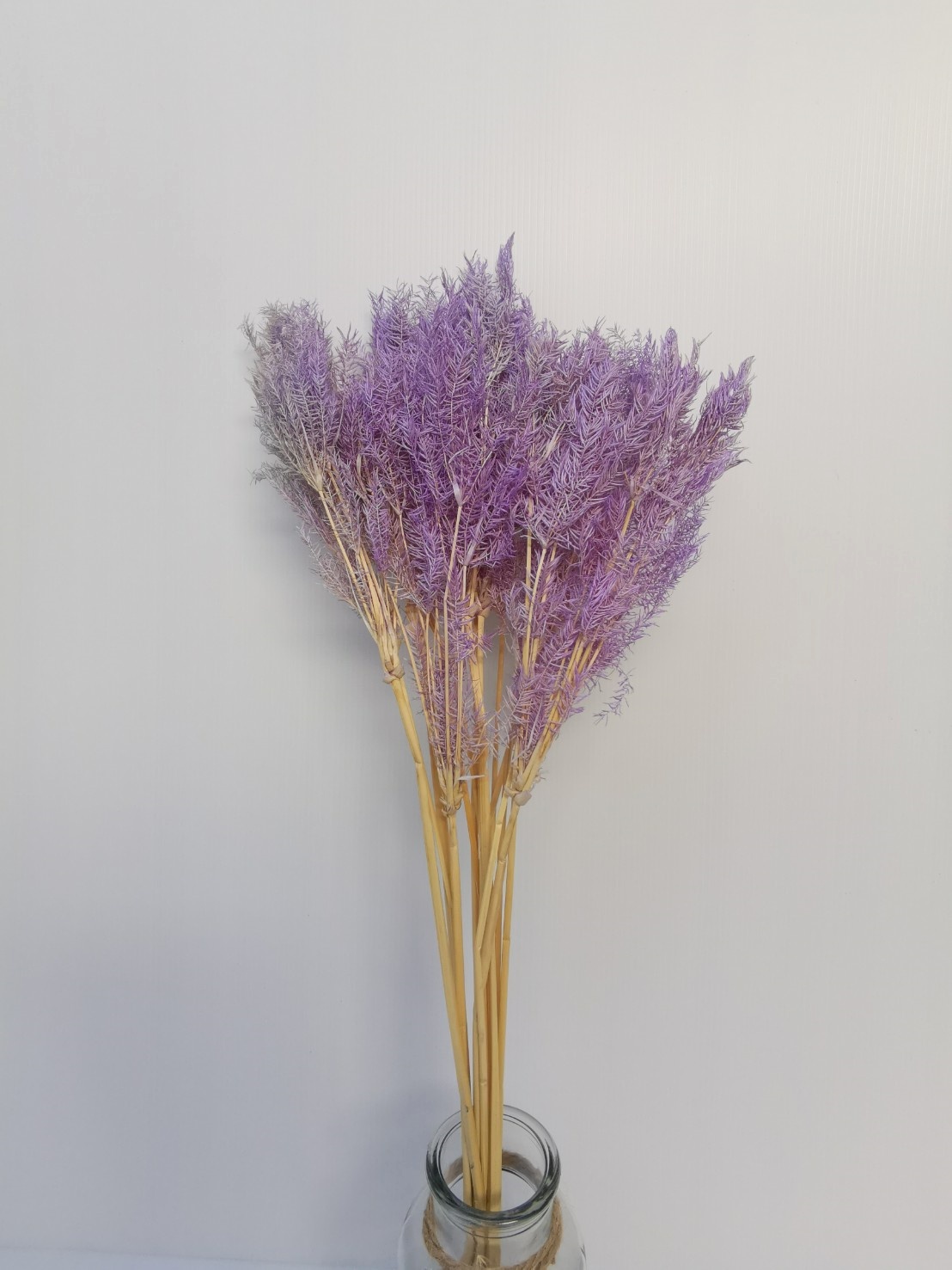 Pourpre clair