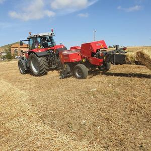 Livraison rapide tracteur Massey Ferguson 1842E acheter une machine efficace, fiable et durable de qualité supérieure pour chaque travail agricole - Product Image 5