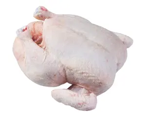 Zampe di pollo congelate di pollo intero congelato/ali di pollo congelate/pollo e zampe di parti in vendita