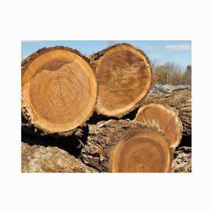 Blocs et bûches de bois de hêtre, idéaux pour la fabrication de meubles, l'artisanat et la sculpture sur bois. - Product Image 3