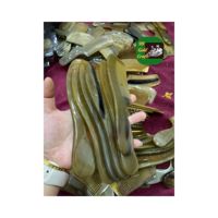 VENTE EN GROS PEIGNE À CHEVEUX EN CORNE DE BUFFALO VIETNAMIEN OUTIL NATUREL DURABLE POUR UN USAGE QUOTIDIEN CONVIENT AUX FEMMES ET AUX HOMMES FABRIQUÉ AU VIETNAM