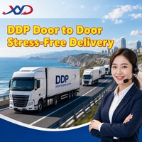 Transitaire Chinois pour Services Logistiques DDP Porte-à-Porte, Livraison Locale, Expédition LCL+Express, Manipulation de Marchandises Dangereuses 20-30