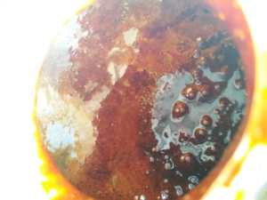 Miel de Caña Negra de Alta Calidad, Brix 74-81, TSAI 50, Vietnam, para Uso Alimentario, Pienso e Industrial - Product Image 2