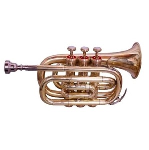 MUDO DE PRÁCTICA DE TROMPETA DE ESTUDIANTE para PRINCIPIANTES Y NIVEL AVANZADO CON ESTUCHE RÍGIDO Y BOQUILLA DE ORO - Product Image 1