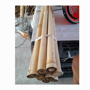 100% bambou naturel poteau droit bâtons de bambou traités durables cannes de bambou jaune traité écologique pour la construction - Product Image 4