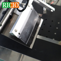 Système d'étiquetage automatique RICIO certifié CE OEM ODM pour surfaces planes, étiqueteuse automatique pour films, feuilles et sacs
