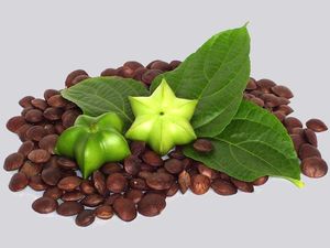 Nueces de Sachi Inchi Naturales de Vietnam, Proveedor de Alta Calidad con Precio Competitivo 2022 - Sra. Kathy VDelta - Product Image 3