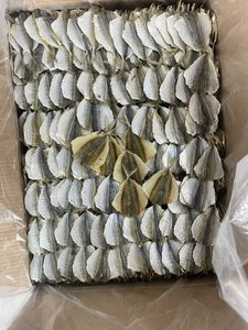 Scad แถบสีเหลืองแห้ง, scad แถบสีเหลืองหมักและปลาที่มีกลิ่นหอมยังคงความอร่อยของปลา - Product Image 5