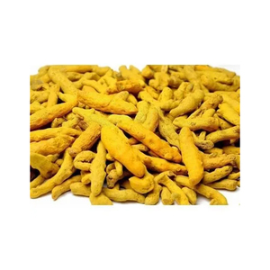 Épice en poudre de curcuma séchée naturelle pure de qualité à l'exportation pour colorant alimentaire disponible en quantité en vrac auprès du fournisseur indien - Product Image 5