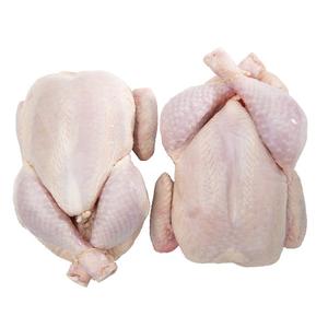 Cuisses de poulet halal congelées transformées - Product Image 1