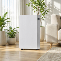 Déshumidificateur portable électrique réfrigérant 20L/jour |   Compresseur domestique R290/R134a avec contrôle WIFI