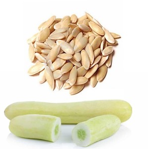 Concombre frais de qualité alimentaire 100% concombre vert naturel au prix de gros - Product Image 3